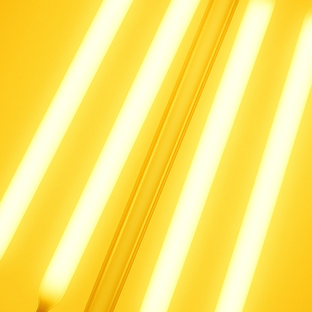 Clear E27 globe (es) LED bulb - Image 3