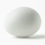Stellare — Goose Egg‑Shaped LED Floor Lamp (Indoor & Outdoor) - Image 3